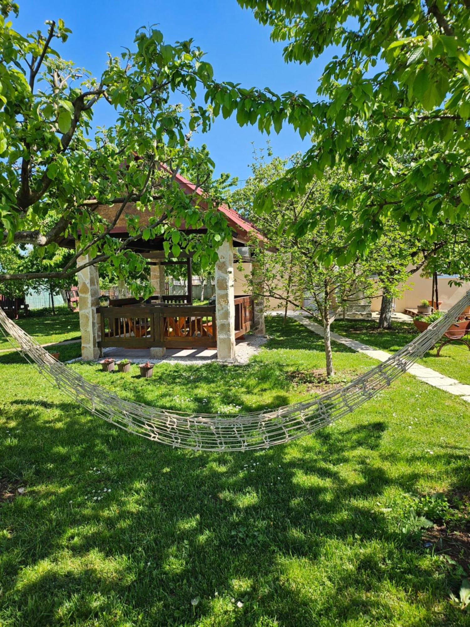 Апартаменти Calm Nest Нікшич Екстер'єр фото